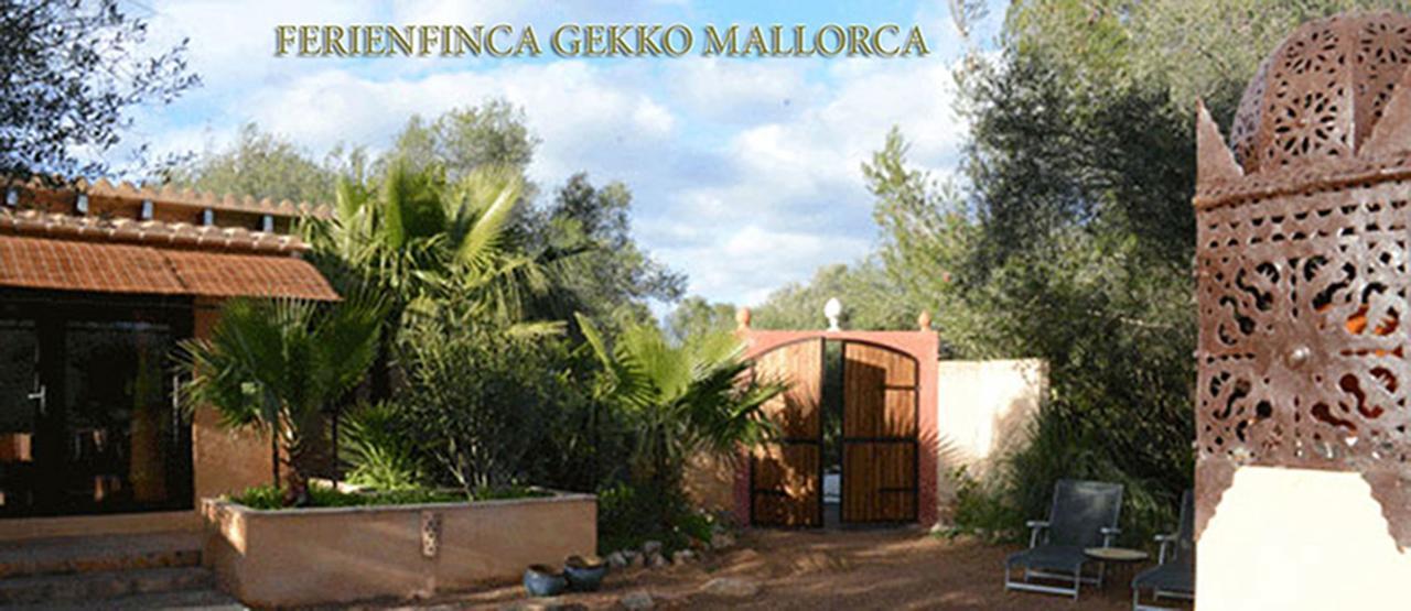 Ferienfinca Gekko Mallorca Holiday home *