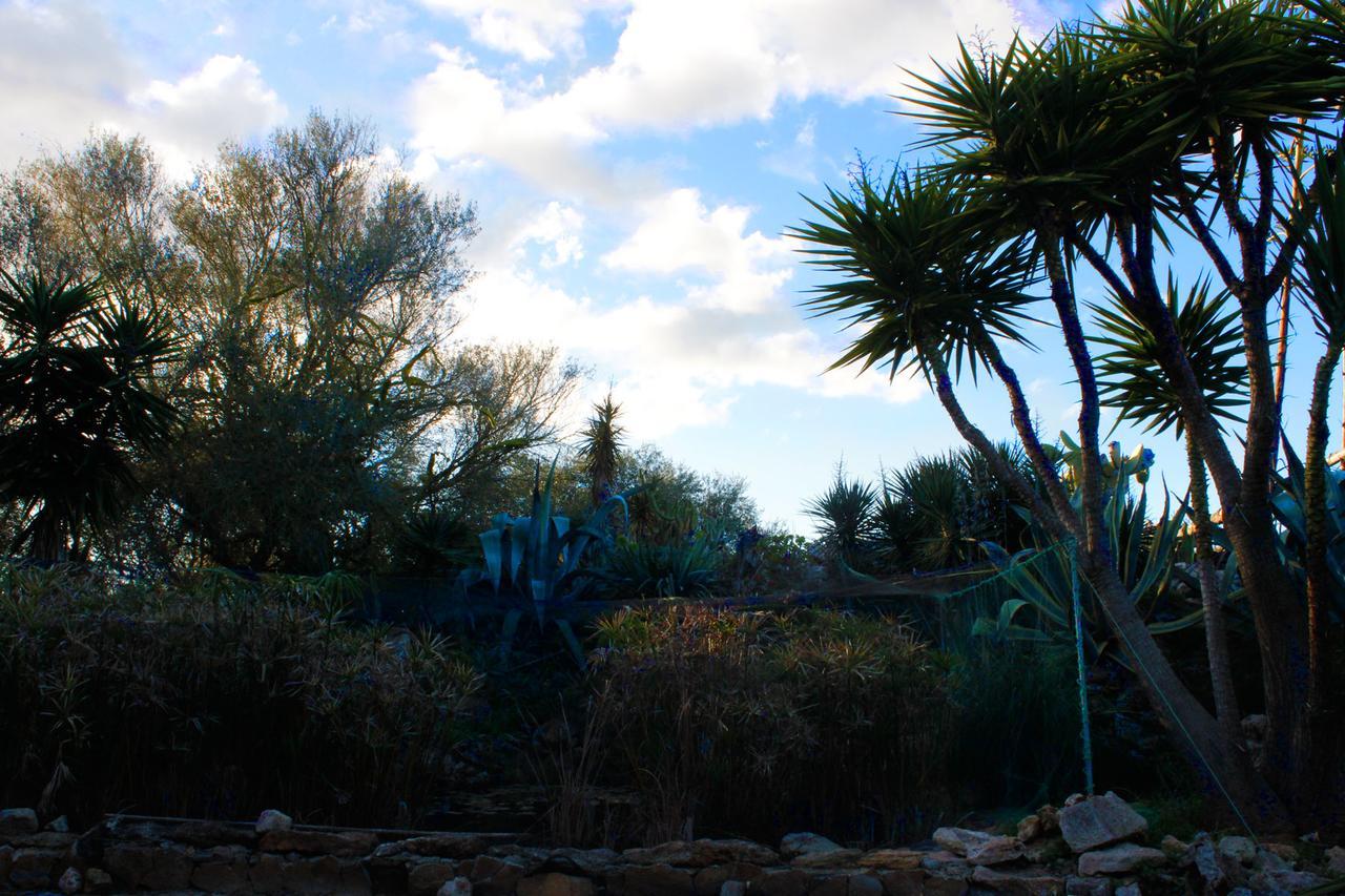 Ferienfinca Gekko Mallorca *
