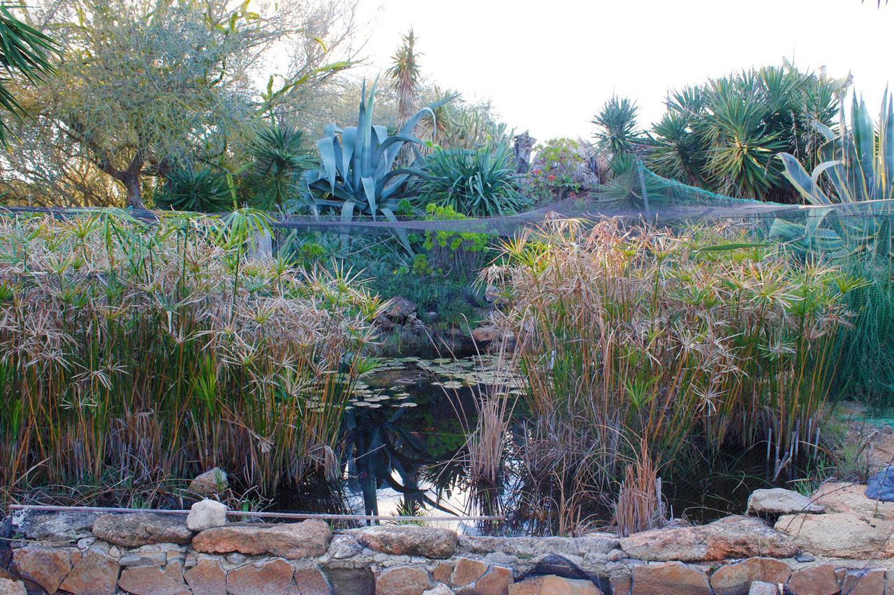 Ferienfinca Gekko Mallorca Holiday home Santanyi