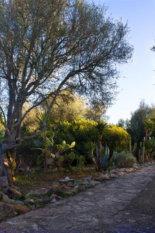 Ferienfinca Gekko Mallorca Holiday home *