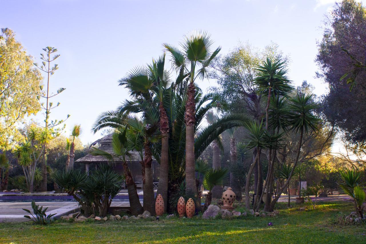 Ferienfinca Gekko Mallorca