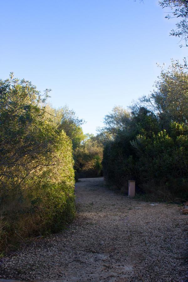 Holiday home Ferienfinca Gekko Mallorca *